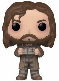#67 Sirius Black (Azkaban) Funko Pop! Vinyl